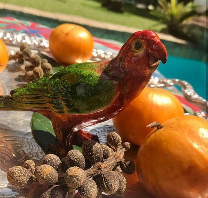 Pousada Villa Jambo Petrópolis Zewnętrze zdjęcie